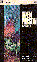 Cover of Open Prison